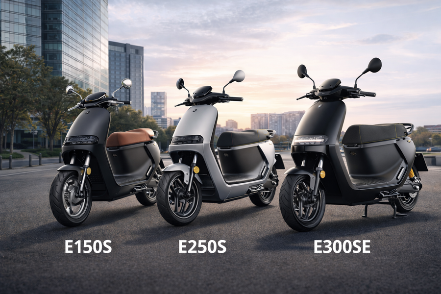 Welcher Segway E-Roller ist der richtige? E150S, E250S oder E300SE im Check