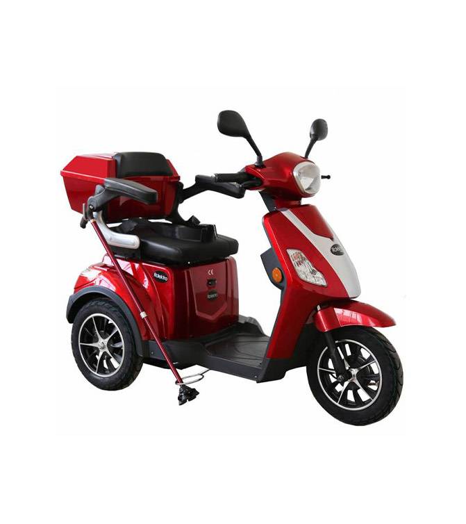 Rolektro E-Trike 3-Rad 25Km/h mit Topcase