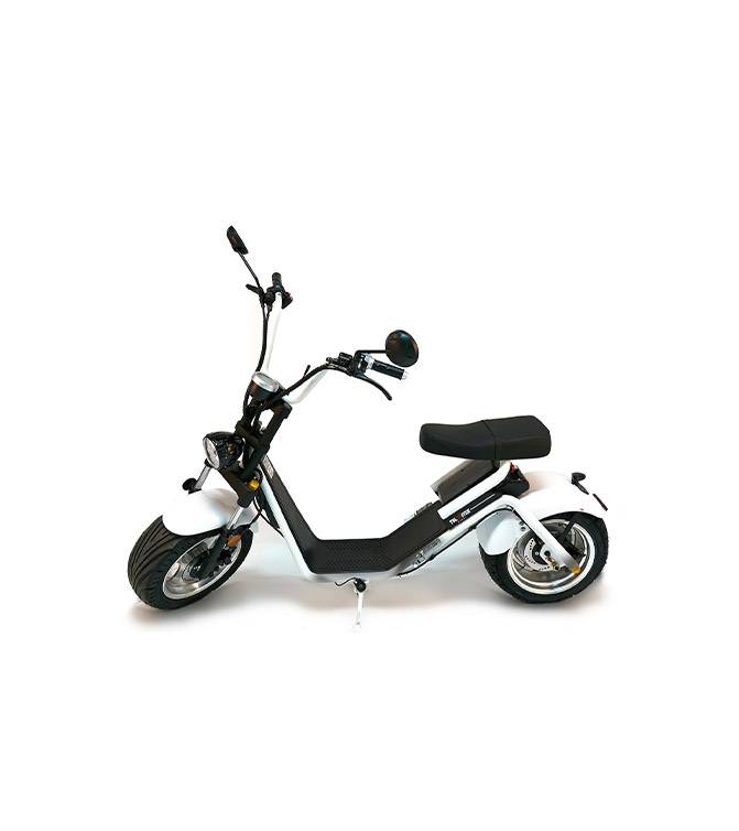CityTwister 3.0 Elektro Roller Cruzer Weiß