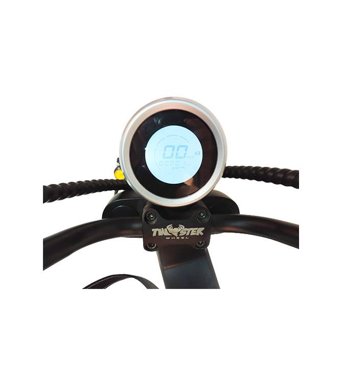 CityTwister 3.0 Elektro Roller Cruzer