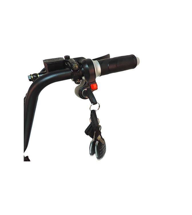 CityTwister 3.0 Elektro Roller Cruzer